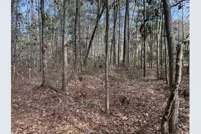 0 Lazy Hill Road, Moncks Corner, SC 29461 - Photo 4