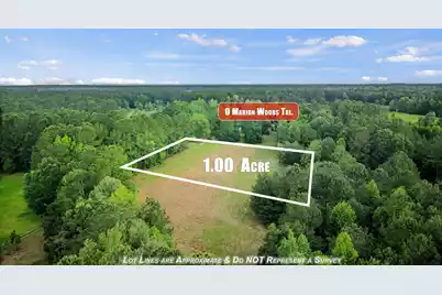 0 Marion Woods Trail, Bonneau, SC 29431 - Photo 12