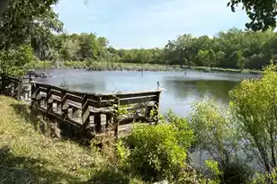 4347 Chisolm Rd, Johns Island, SC 29455 - Photo 12