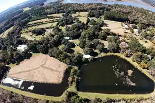 4347 Chisolm Rd, Johns Island, SC 29455 - Photo 16