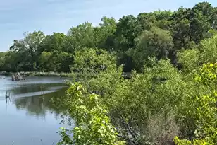 4347 Chisolm Rd, Johns Island, SC 29455 - Photo 26