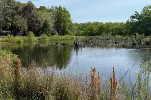 4347 Chisolm Rd, Johns Island, SC 29455 - Photo 26