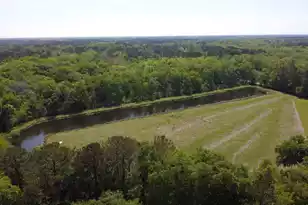 4347 Chisolm Rd, Johns Island, SC 29455 - Photo 24