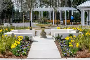 195 Threaded Fern St, Summerville, SC 29485 - Photo 34