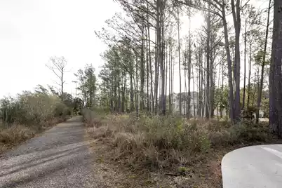 1544 John Fenwick Lane, Johns Island, SC 29455 - Photo 70