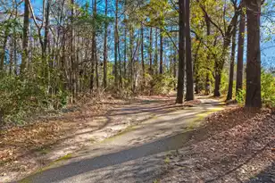133 Bridgecreek Dr, Goose Creek, SC 29445 - Photo 32