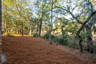 1140 Oak Overhang St, Daniel Island, SC 29492 - Photo 44