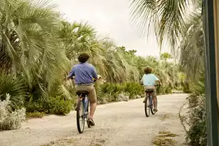 2764 Hidden Oak Dr, Seabrook Island, SC 29455 - Photo 92