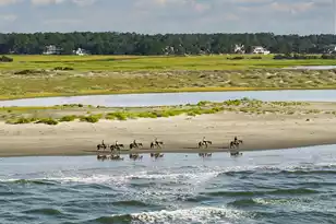 2764 Hidden Oak Dr, Seabrook Island, SC 29455 - Photo 64