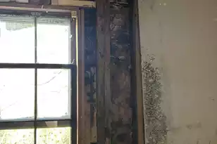 1381 Gausetown Rd, Kingstree, SC 29556 - Photo 10