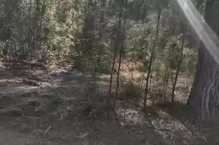 71 Breanna Ct, Cottageville, SC 29435 - Photo 1