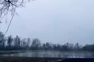 573 Sandridge Rd, Dorchester, SC 29437 - Photo 16