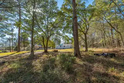 153 Rogers Branch Road, Ridgeville, SC 29472 - Photo 2