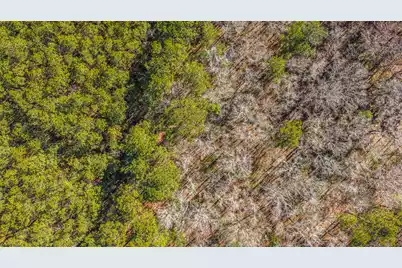 153 Rogers Branch Road, Ridgeville, SC 29472 - Photo 30