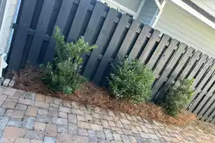 3089 Park W Blvd, Mount Pleasant, SC 29466 - Photo 58