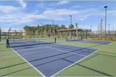 203 Bright Leaf Loop, Summerville, SC 29486 - Photo 46