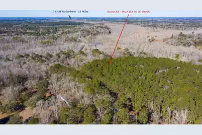 0 Bama Road, Cottageville, SC 29435 - Photo 1