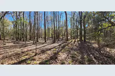 0 Bama Road, Cottageville, SC 29435 - Photo 14