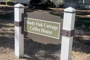 214 Warbler Way, Summerville, SC 29483 - Photo 62