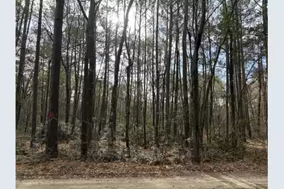 0 Hercules Lane, McClellanville, SC 29458 - Photo 2