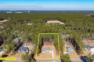 1119 Etowah Dr, Ridgeville, SC 29472 - Photo 40