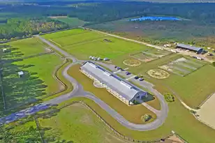 113 Silverbell Ln, Ravenel, SC 29470 - Photo 52