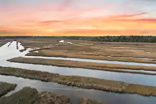 113 Silverbell Ln, Ravenel, SC 29470 - Photo 12