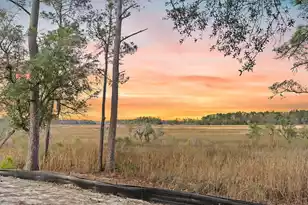 113 Silverbell Ln, Ravenel, SC 29470 - Photo 16