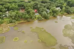 8452 Chisolm Plantation Rd, Edisto Island, SC 29438 - Photo 26