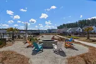 1027 Field Sparrow Dr, Ravenel, SC 29470 - Photo 70