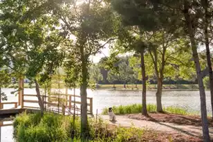 122 Cloverfield Trl Dr, Summerville, SC 29486 - Photo 34