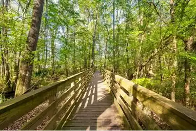 164 Ashley Bluffs Road, Summerville, SC 29485 - Photo 48