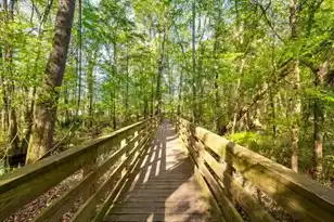 164 Ashley Bluffs Rd, Summerville, SC 29485 - Photo 48