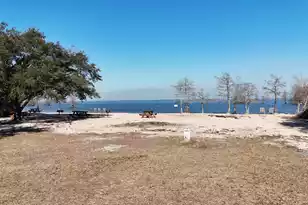 323 Knott Dr, Eutawville, SC 29048 - Photo 6