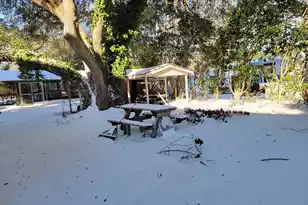 323 Knott Dr, Eutawville, SC 29048 - Photo 26