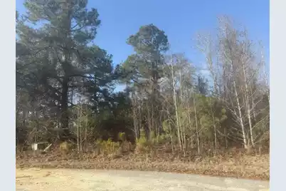 000 Flake Road, Orangeburg, SC 29115 - Photo 6