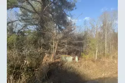 000 Flake Road, Orangeburg, SC 29115 - Photo 10