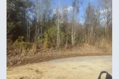 000 Flake Road, Orangeburg, SC 29115 - Photo 2