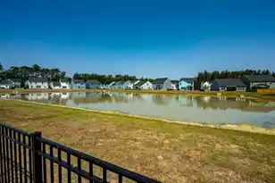 1033 Marsh Harrier, Ravenel, SC 29470 - Photo 36
