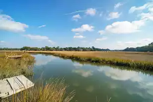 147 Oyster Point Row, Charleston, SC 29412 - Photo 6
