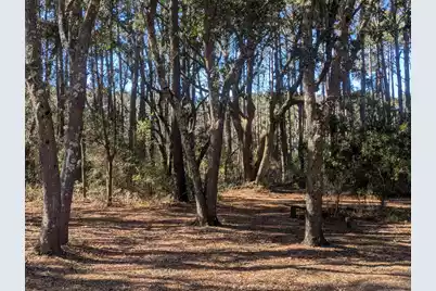 2134 McNeil Washington Road, Charleston, SC 29412 - Photo 4