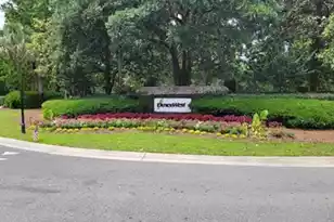 132 Fresh Meadow Ln, Mount Pleasant, SC 29466 - Photo 58