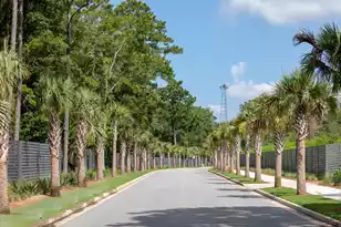 2296 Minifarm Wy, Mount Pleasant, SC 29466 - Photo 50