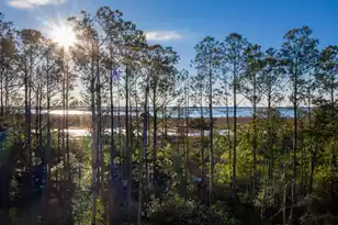 2296 Minifarm Wy, Mount Pleasant, SC 29466 - Photo 2