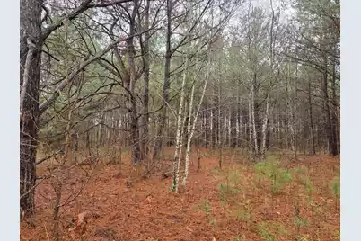 00 Calamus Pond Road, Summerville, SC 29486 - Photo 2