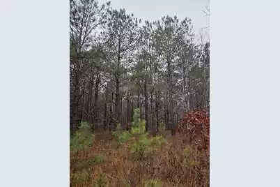 00 Calamus Pond Road, Summerville, SC 29486 - Photo 6