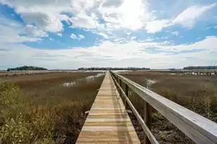 8107 Doar Rd, Awendaw, SC 29429 - Photo 78