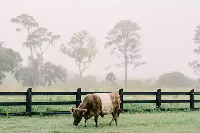 3047 Eventide Drive, Johns Island, SC 29455 - Photo 86