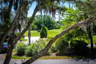 2866 Maritime Forest Dr, Johns Island, SC 29455 - Photo 36