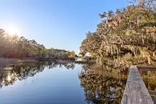 4400 Wando Farms Rd, Mount Pleasant, SC 29429 - Photo 4